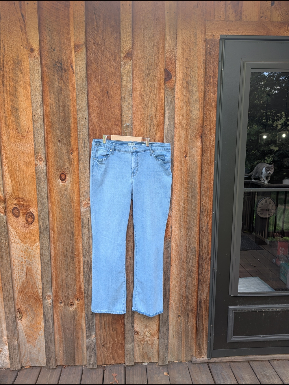 Wonderly Light Blue Straight Leg Women's Jeans